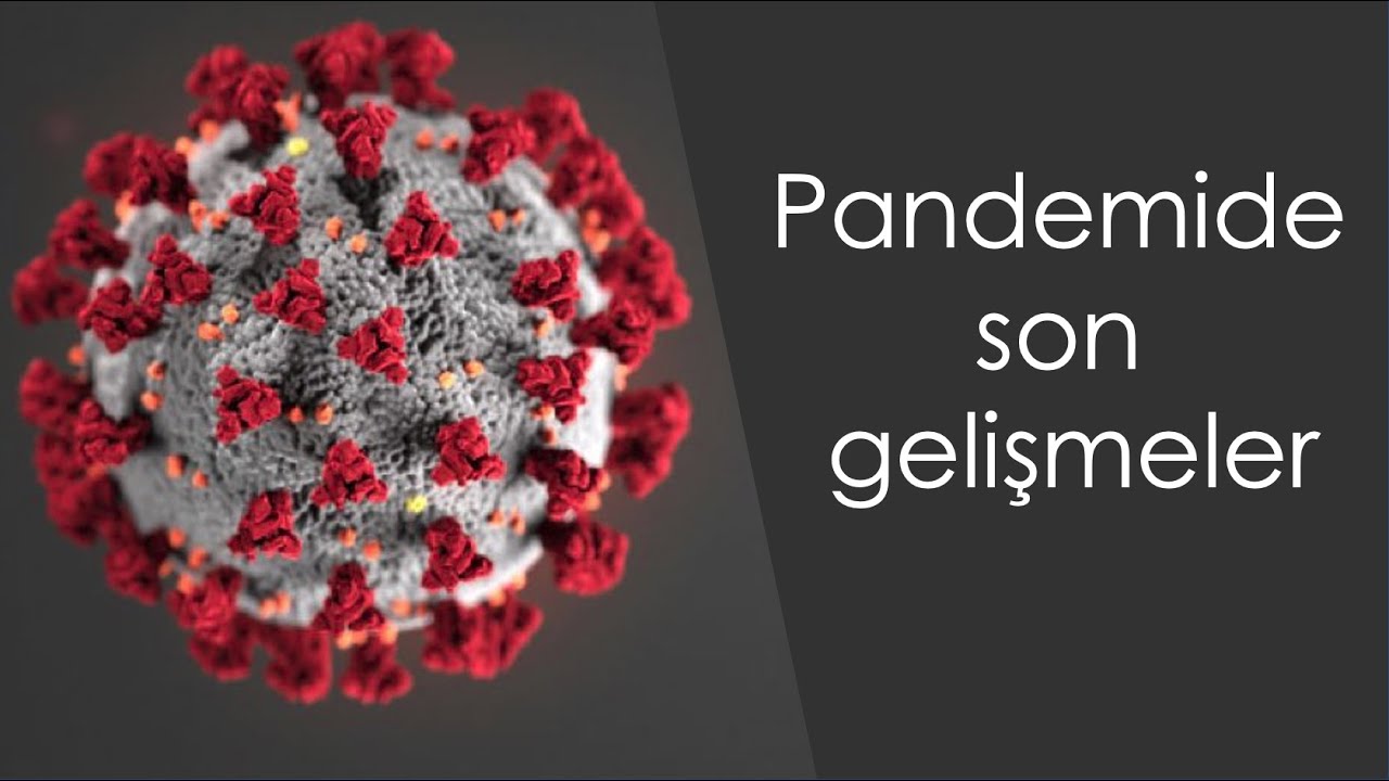 Korona (Corona) pandemisinde son gelişmeler