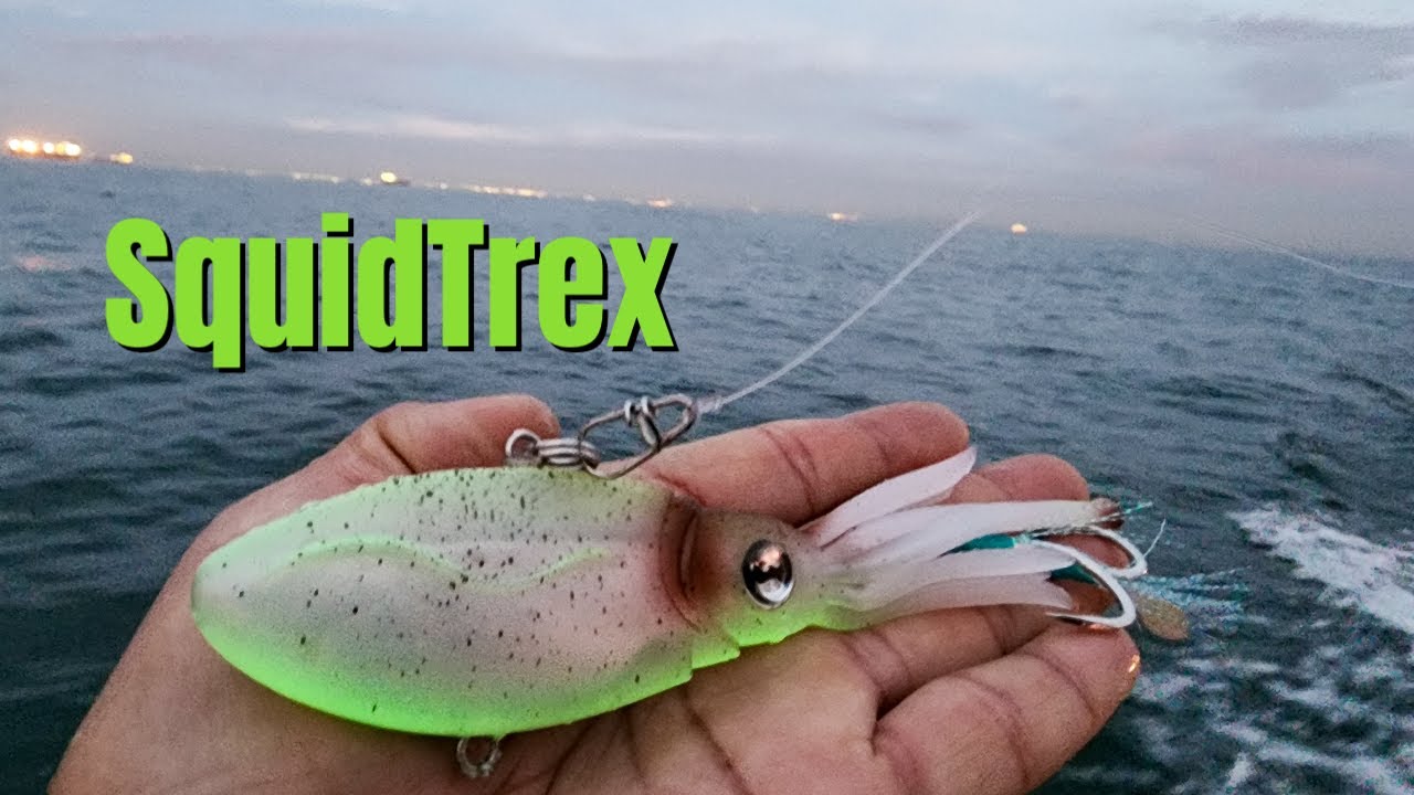 Best Squid Lure Ever Made - Nomad Squidtrex for Barred Sand Bass