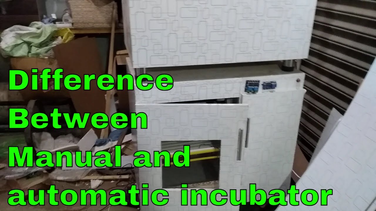 Difference Between manual and automatic incubator - English