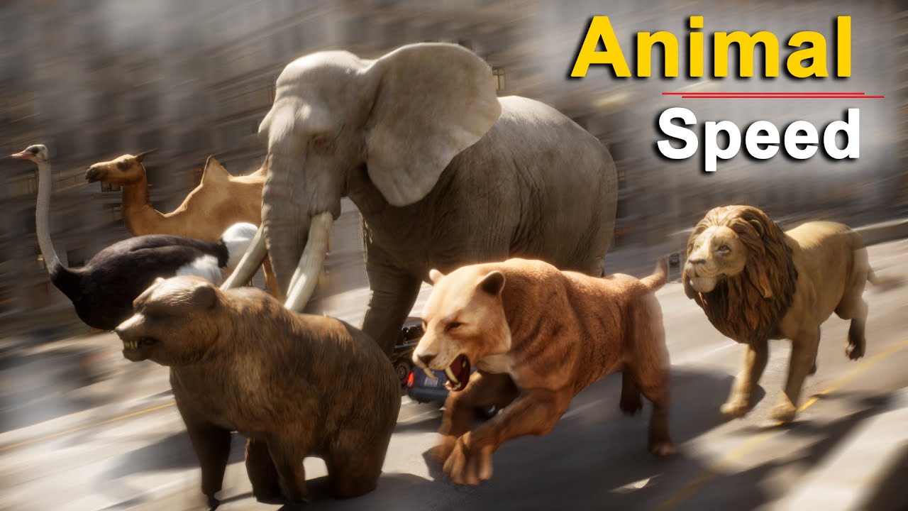 Animals Speed Comparison (Slowest to Fastest) | 3D Speed Comparison
