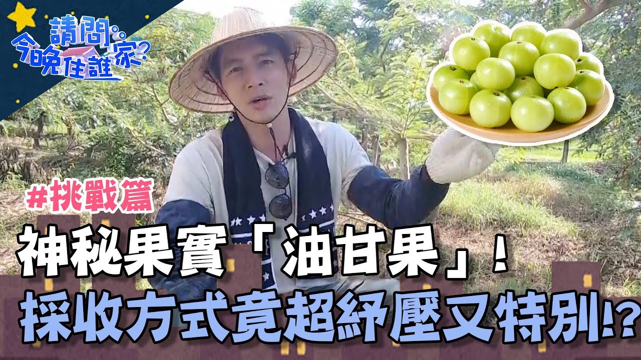 阿嬤級古早味「油甘果」！超特別採收方式讓三兄弟心花怒放：「好紓壓！」【請問今晚住誰家】挑戰篇 20191008 PART1 EP38 李李仁 溫昇豪 肯納