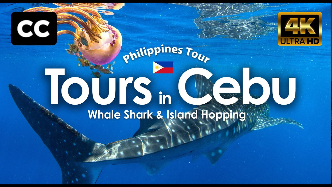 Ultimate Cebu Experience: Whale Shark Swimming & Stunning Island Hopping