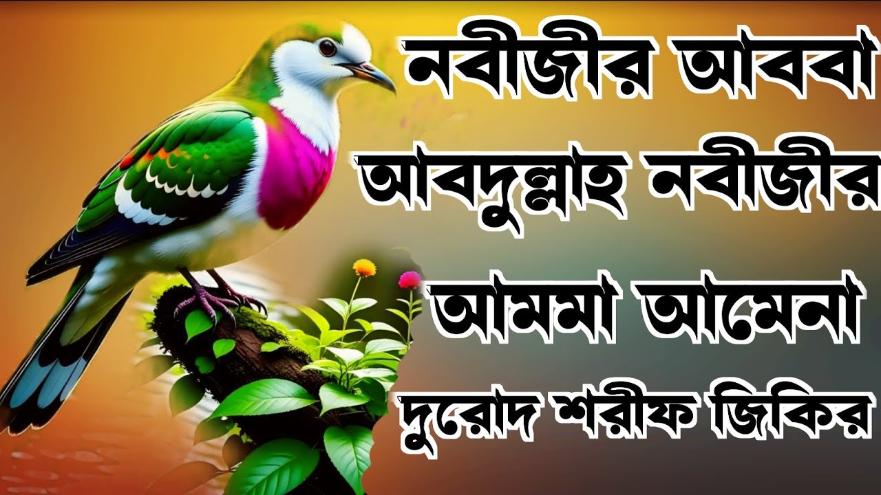 নবীজীর আববা আবদুল্লাহ  নবীজীর আমমা আমেনা