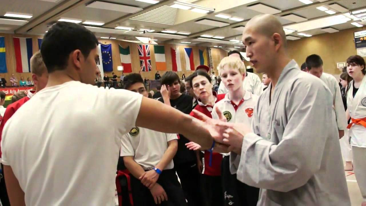 MA DAY 2012 Shaolin Kung Fu Master Shi Yan Rui