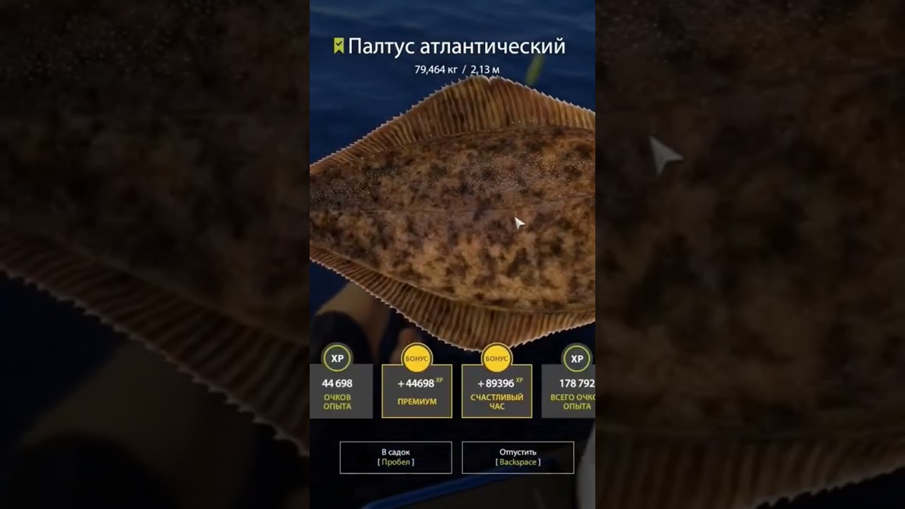 Русская Рыбалка 4. Норвежское море. Палтус Атлантический 80кг!! #рыба #рыбалка #море #fishing