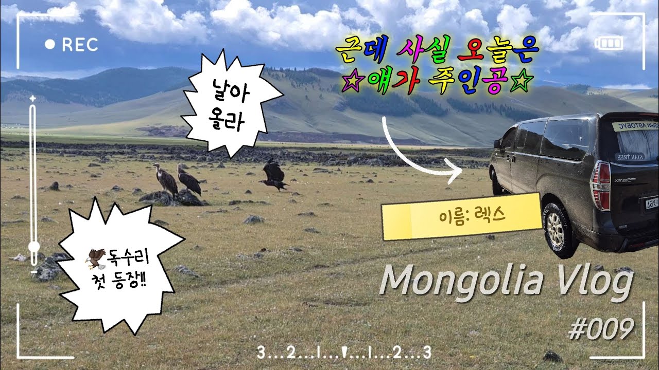 [Mongolia vlog] ???: 제가 몽골에서 산전수전 고생을 좀 했는데... | 몽골 8일차Day🇲🇳