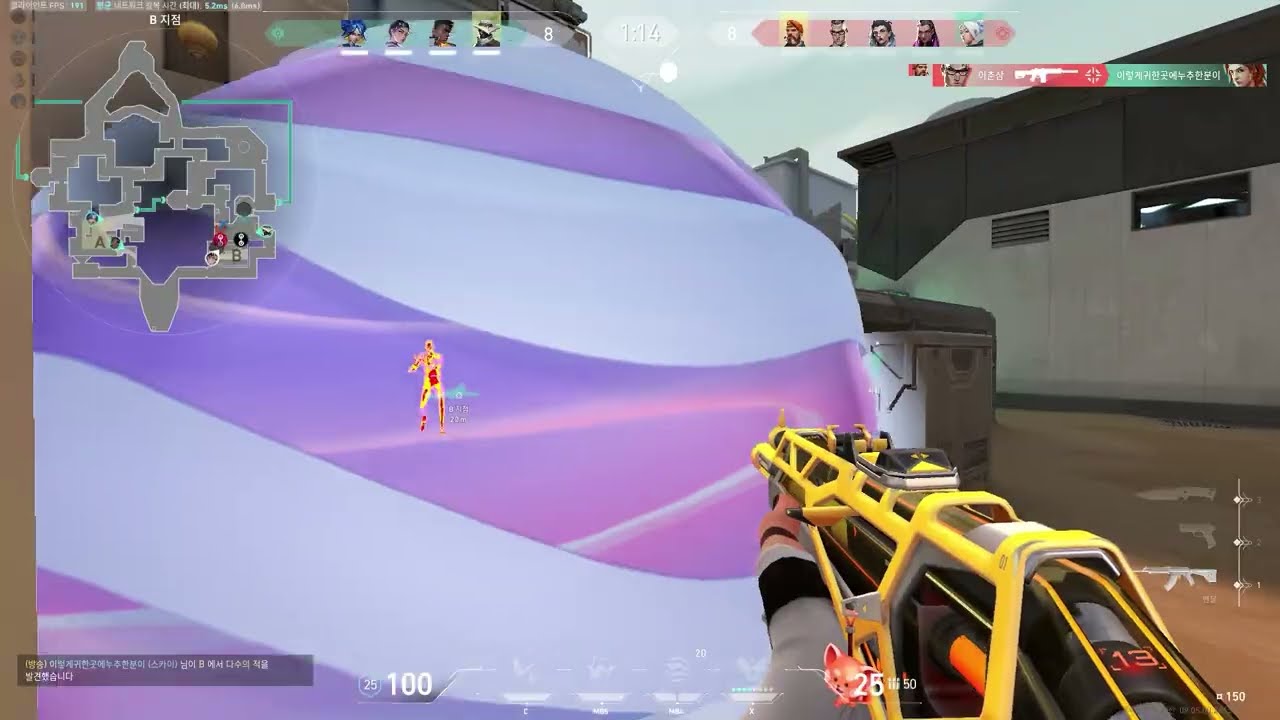 20250205