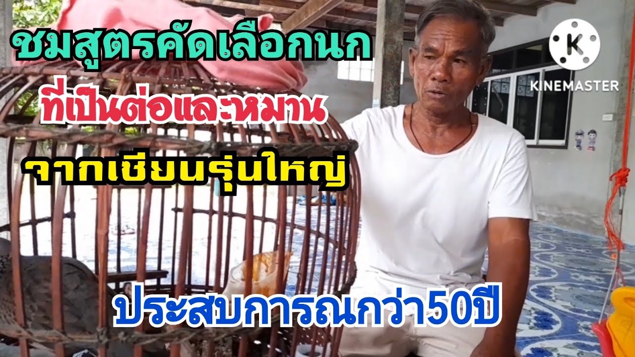 FC.ขอมาแอดมินจัดให้ครับผม พาชมนกเขาใหญ่บ้านคุณพ่อสำราญ เซียนรุ่นใหญ่ พอได้ความรู้ครับผม🥰🥰🥰