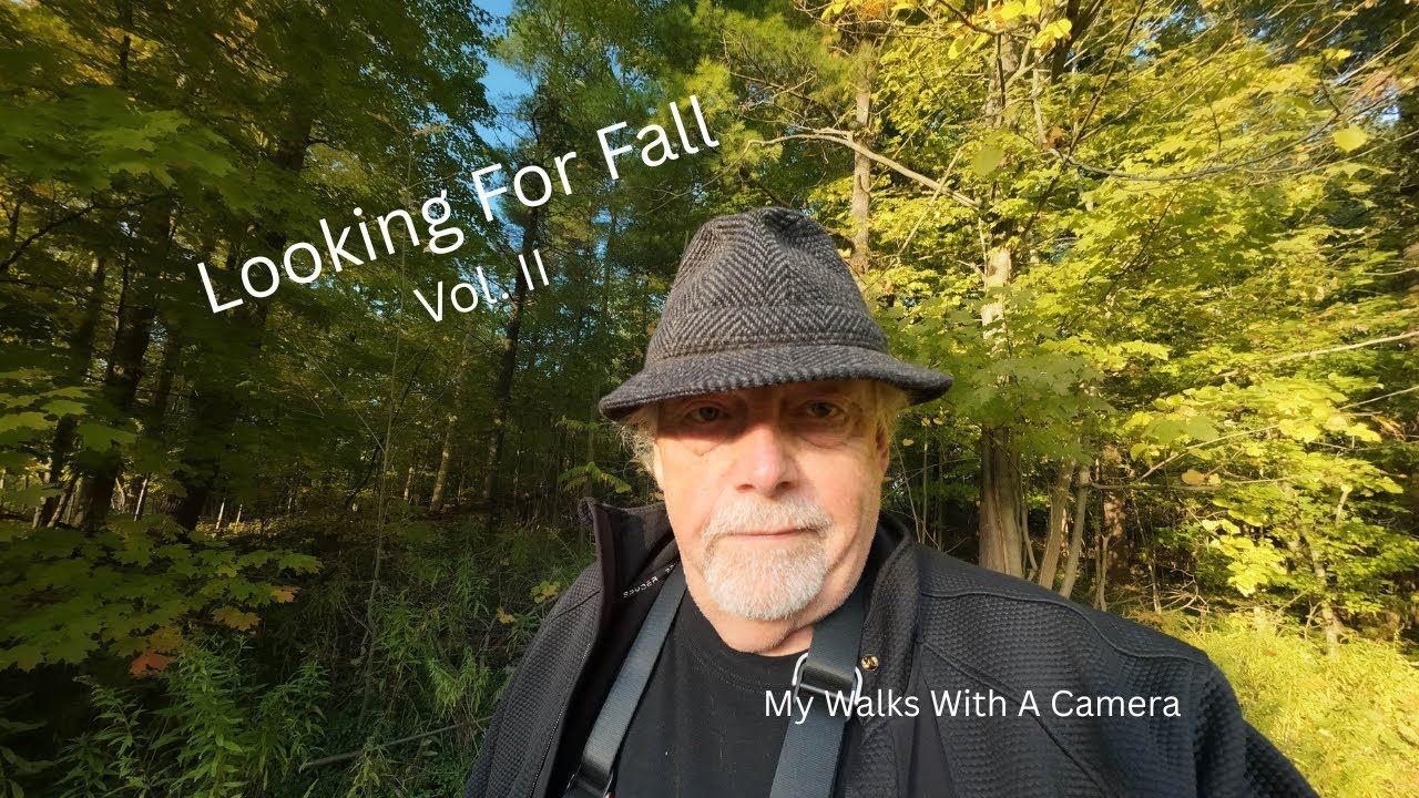 Looking For Fall Vol  ll