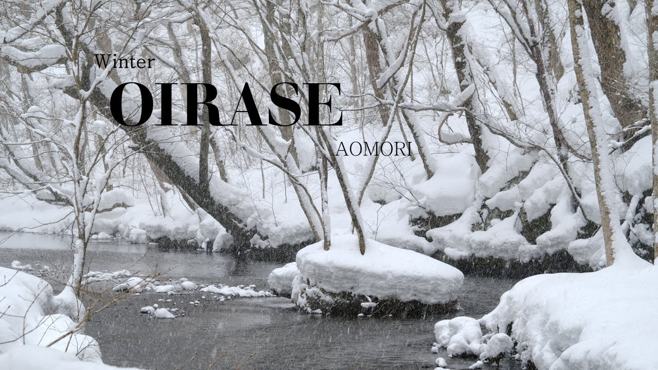 Winter in Oirase stream ,Towada city,Aomori ~奥入瀬~青森県 อาโอโมริหน้าหนาว