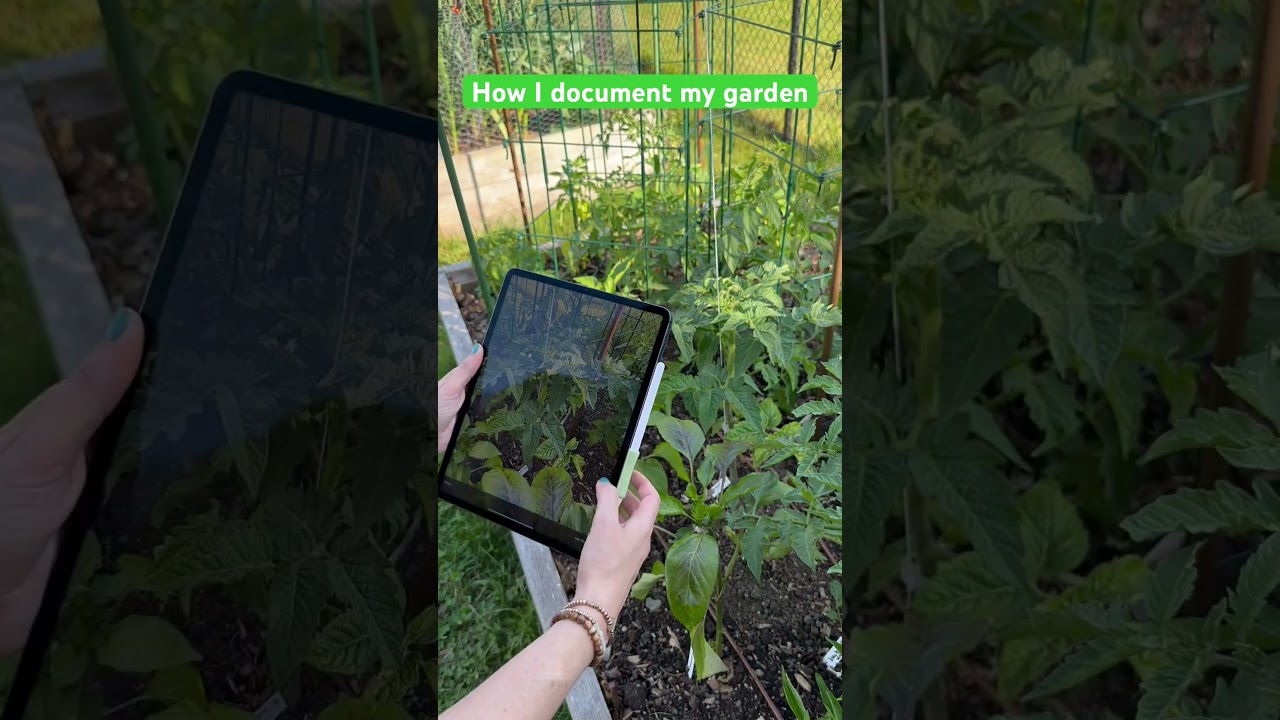 Use a garden journal to document your progress 🙌🏻 #gardening #journaling #mygarden #vegetables