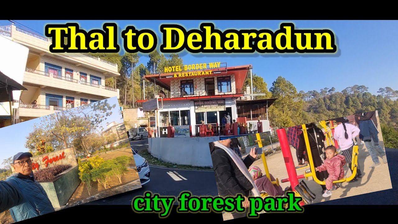 देहरादून पहुंचते ही गए नातिनी को घुमाने सिटी फॉरेस्ट पार्क !! Thal to Deharadun !! #travel 