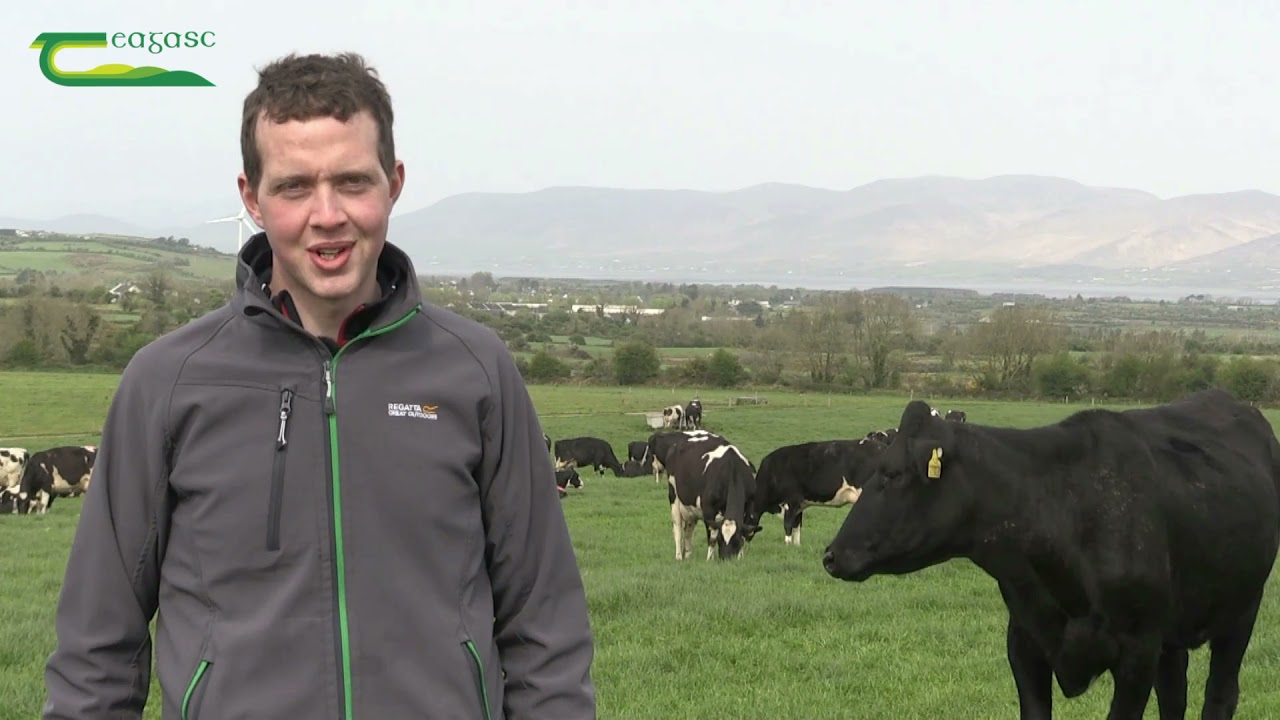 Teagasc Student of the Year 2020 - Shane Clifford