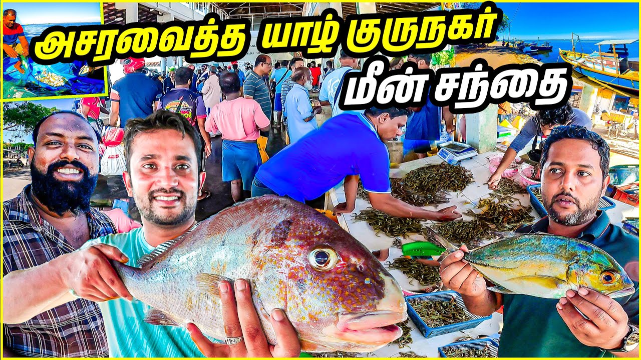 யாழ்ப்பாண மீன் 🐟, நண்டு 🦀, இறால் 🍤 சுரங்கம் |  Jaffna fish market | | Lanka boy