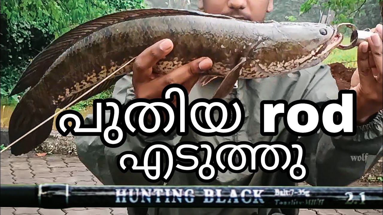 പുതിയ rod 🔥 hunting black baitcasting rod malayalam | snakehead fishing | kerala | new baitcast rod 