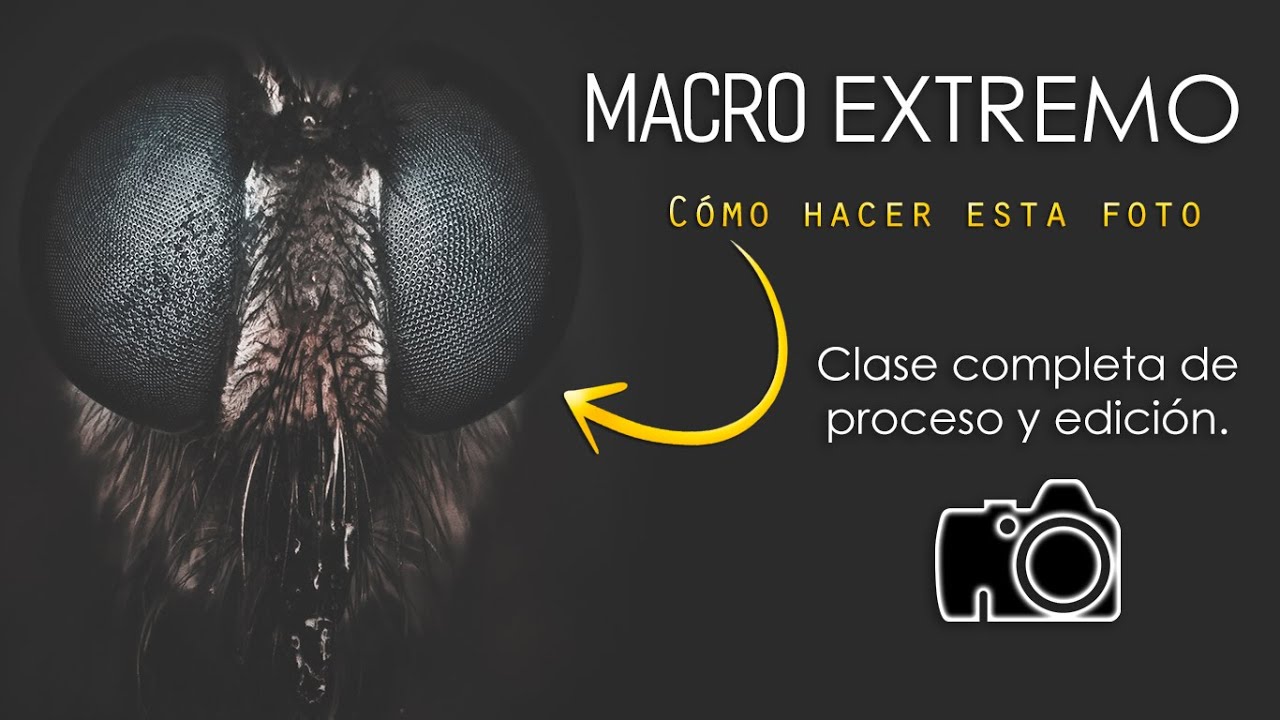 Cómo hacer fotos MACRO EXTREMO | Super Macro photos low cost #YoMeQuedoEnCasa
