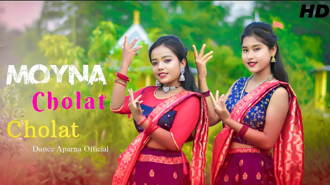 Rongila Hawa Dance | Moyna Chalak Chalak New Version | Folk Song | Aparna & Papri......