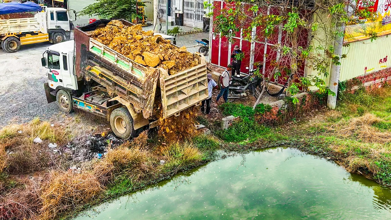 Amazing! Start New Project Next to Highway  D30 Dozer & 5T Dump Truck Pour Soil