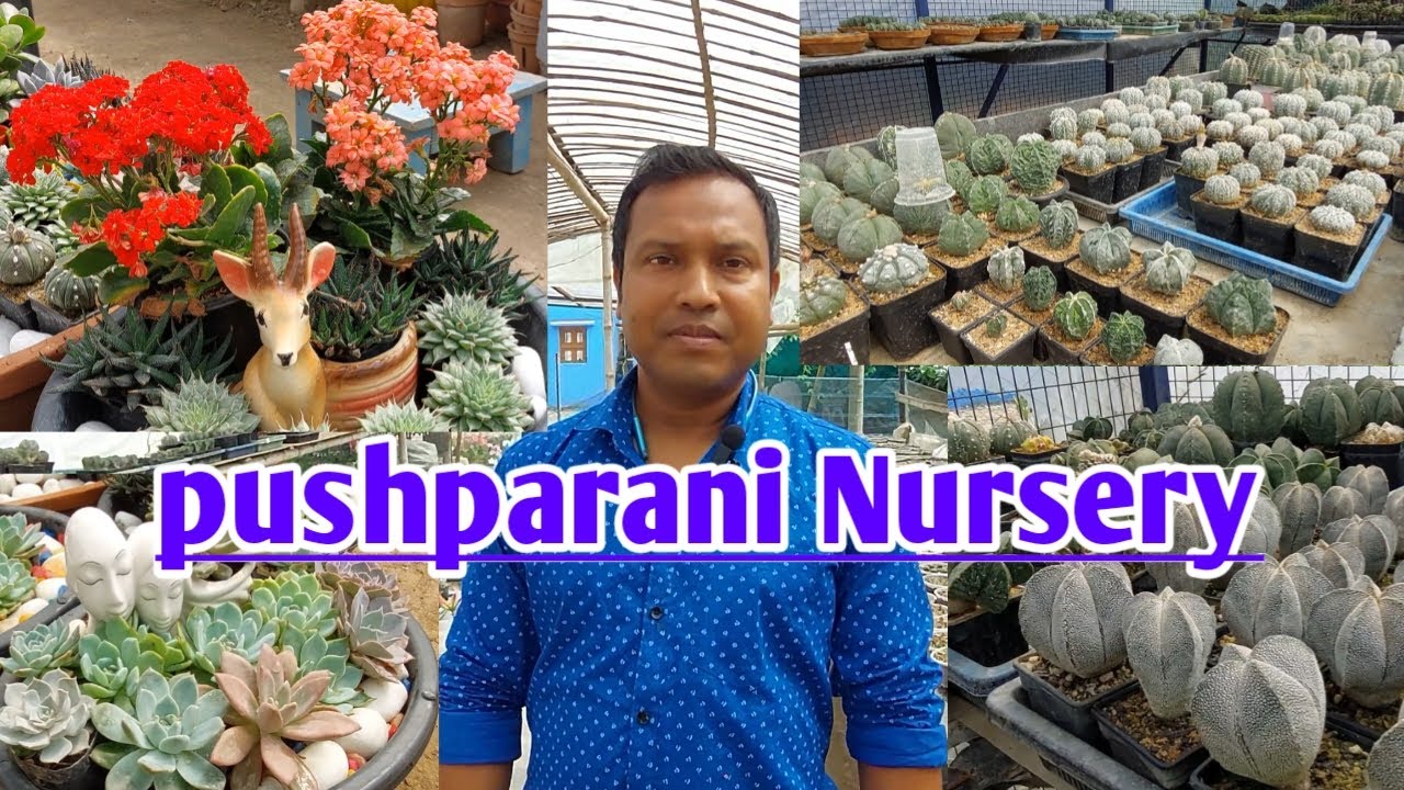 Pushpa Rani Nursery Visit||Bodhi Sanjiban||