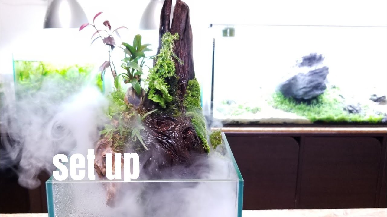 How to make Aquaterrarium with Forest of a Nausicaa【ナウシカの腐海をテラリウムで表現】