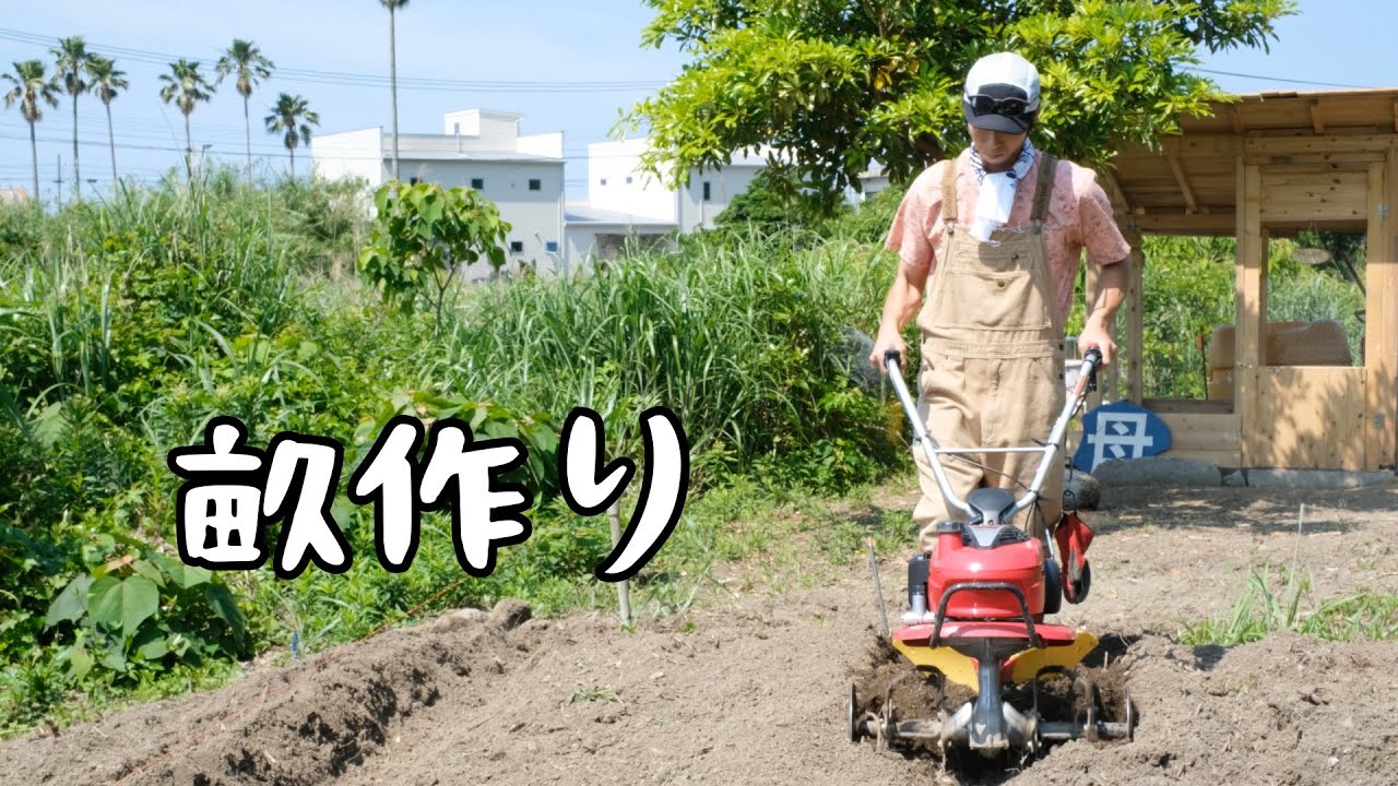 【農】サツマイモを育てるための畝作り／ニワトリにカボチャをプレゼント｜長崎田舎暮らし#002