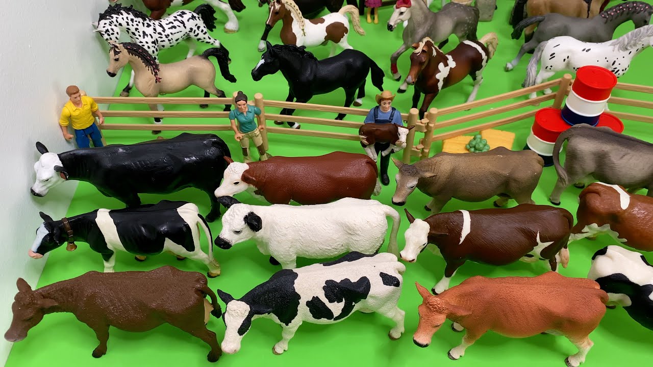 ¡Aprendemos a Contar con las Vacas y Caballos! 🐮🐴 Animales para Niños ✨ Mimonona Stories