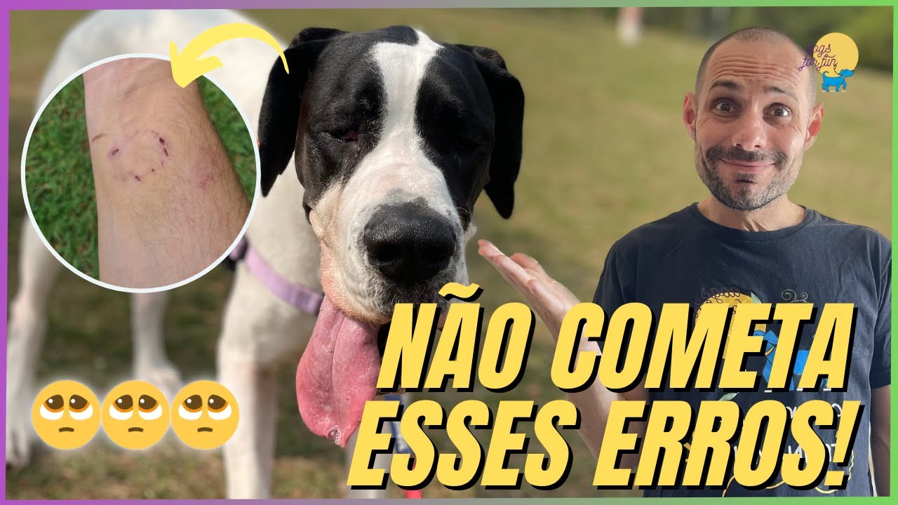 OS 5 TREINOS FUNDAMENTAIS PARA TODO E QUALQUER CACHORRO | O ÚLTIMO VAI TE SURPREENDER! Versão 2026