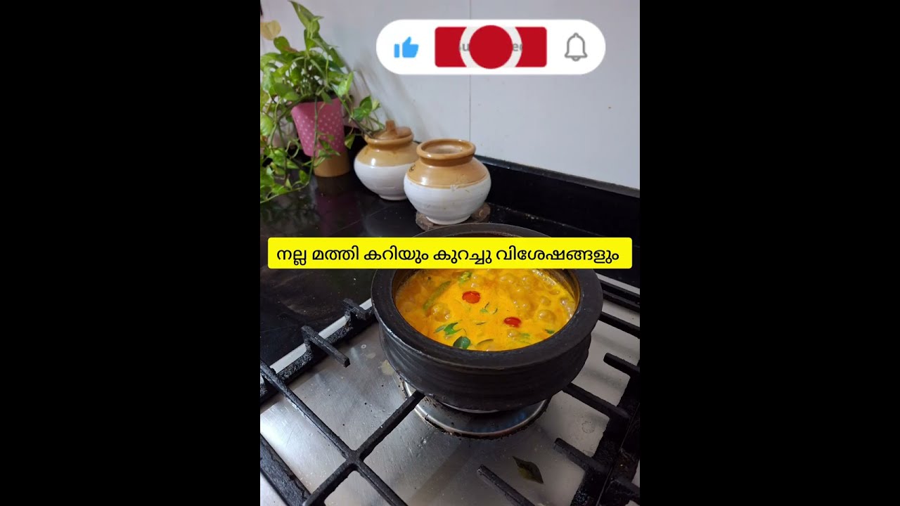 ഒരു കറിയും ഒരു പാട് വിശേഷങ്ങളും 