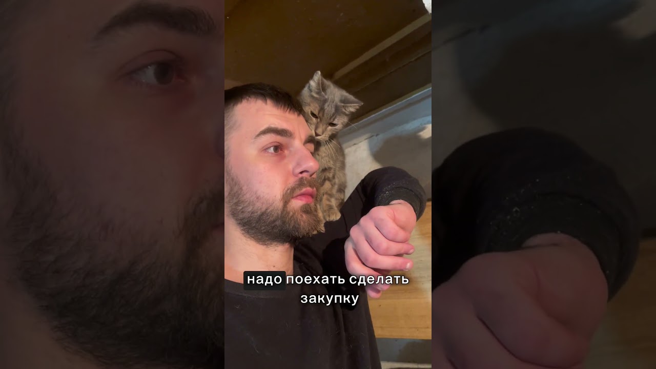 ГлавныйКот