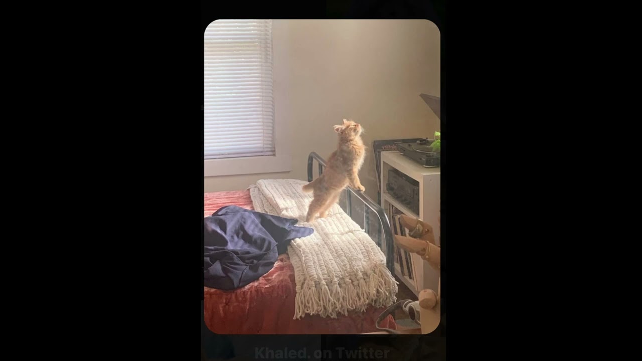 Skin ~ Sabrina carpenter (sped up)