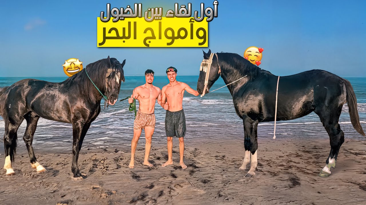 يوم جديد🌞من قلب المزرعة🌲ذهبنا مع الخيول 🐴لترى أول مرة البحر 🤩