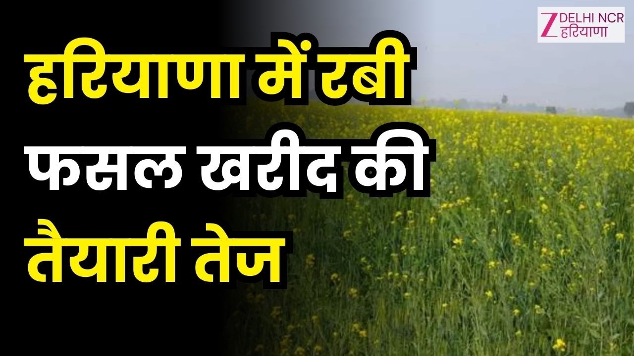 हरियाणा में रबी फसल खरीद की तैयारी तेज | 1 अप्रैल से गेहूं, 28 मार्च से सरसों की खरीद शुरू