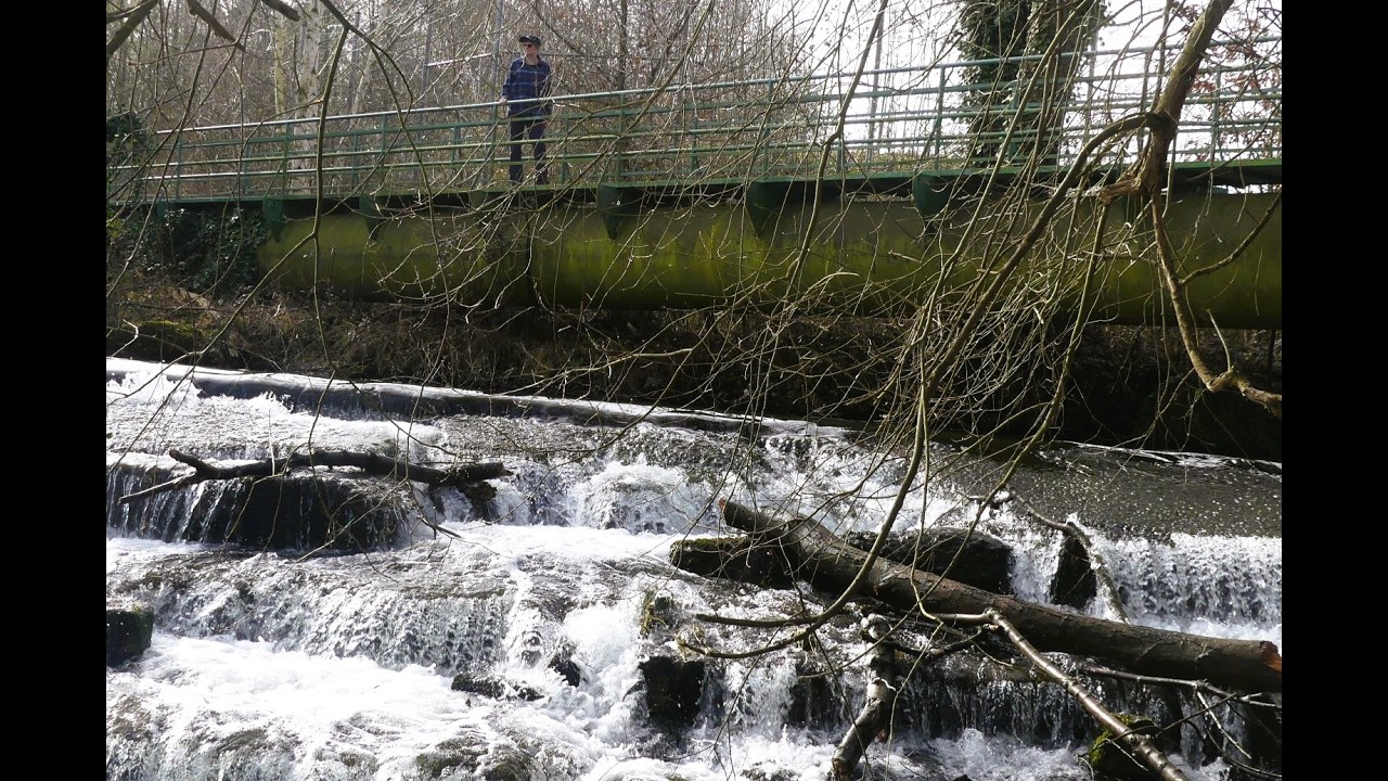 Heimatrunde von Schneidhausen Flußaufwärts bis zur Busenbrücke 3 Erken und zurück.