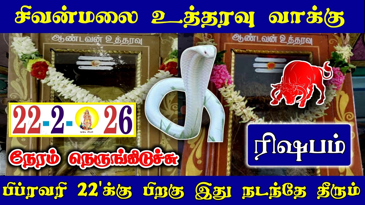 சிவன்மலை உத்தரவு வாக்கு ! ரிஷப ராசிக்கு நேரம் நெருங்கிடிச்சி பிப்ரவரி 22 பிறகு இது நடக்கும்!#westar