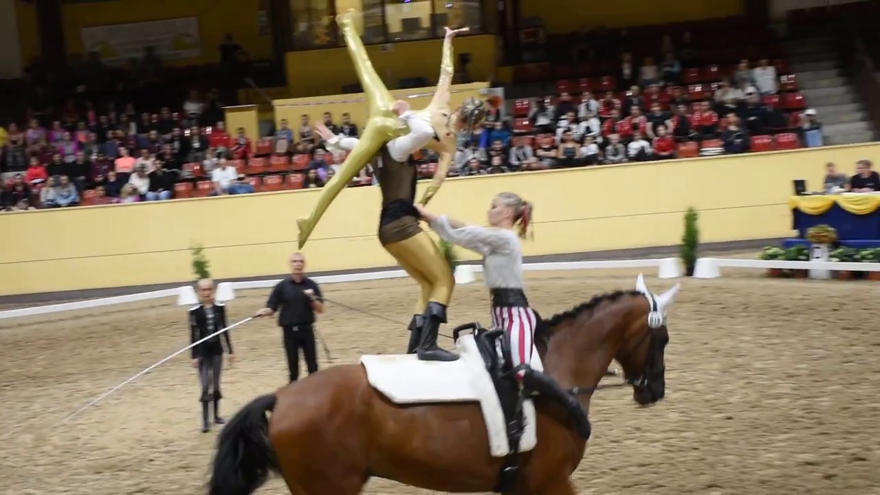 CVI Flyinge 2018 Juniorteam Schenkenberg 1