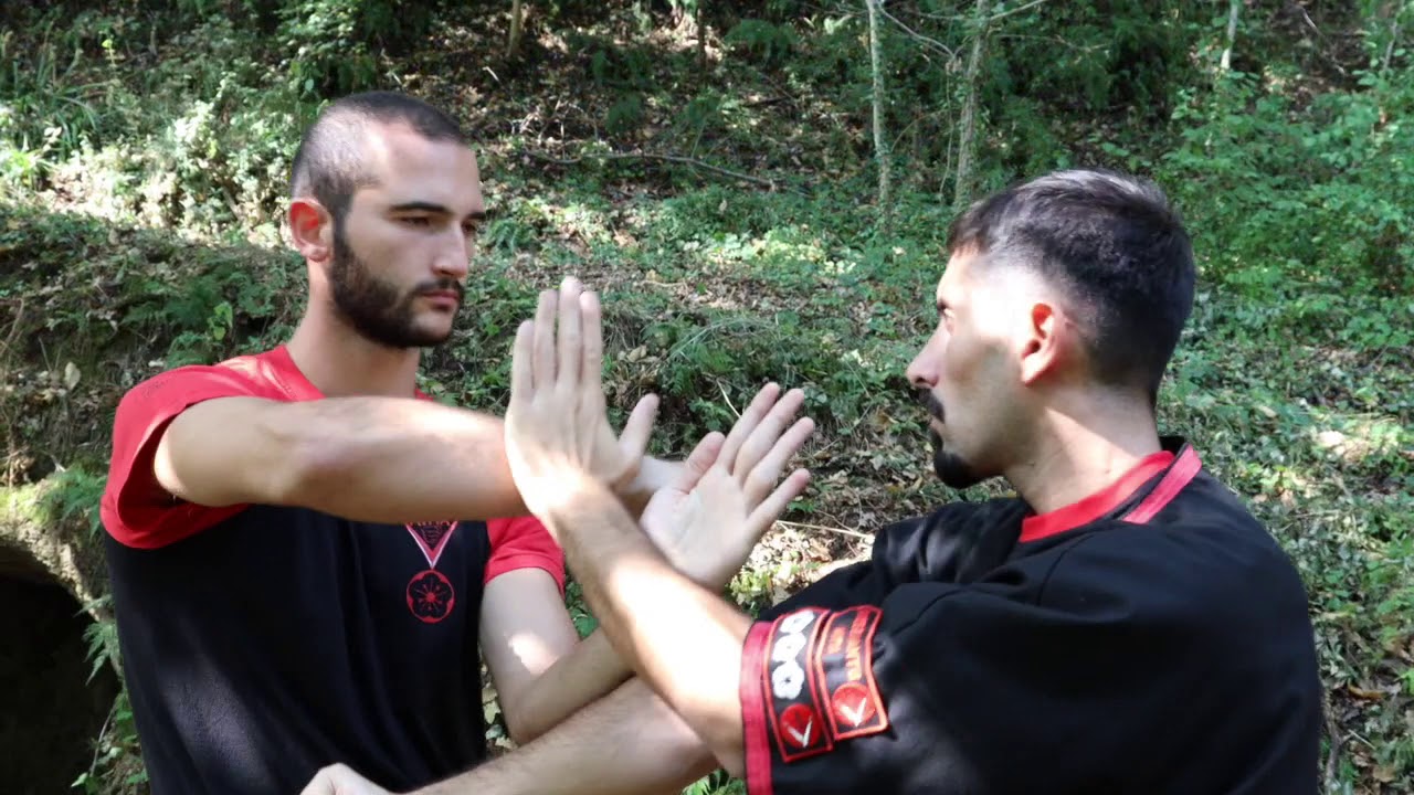 14 - Libro Wing Tsun AWTA - Chi Sao - Reazioni (I)