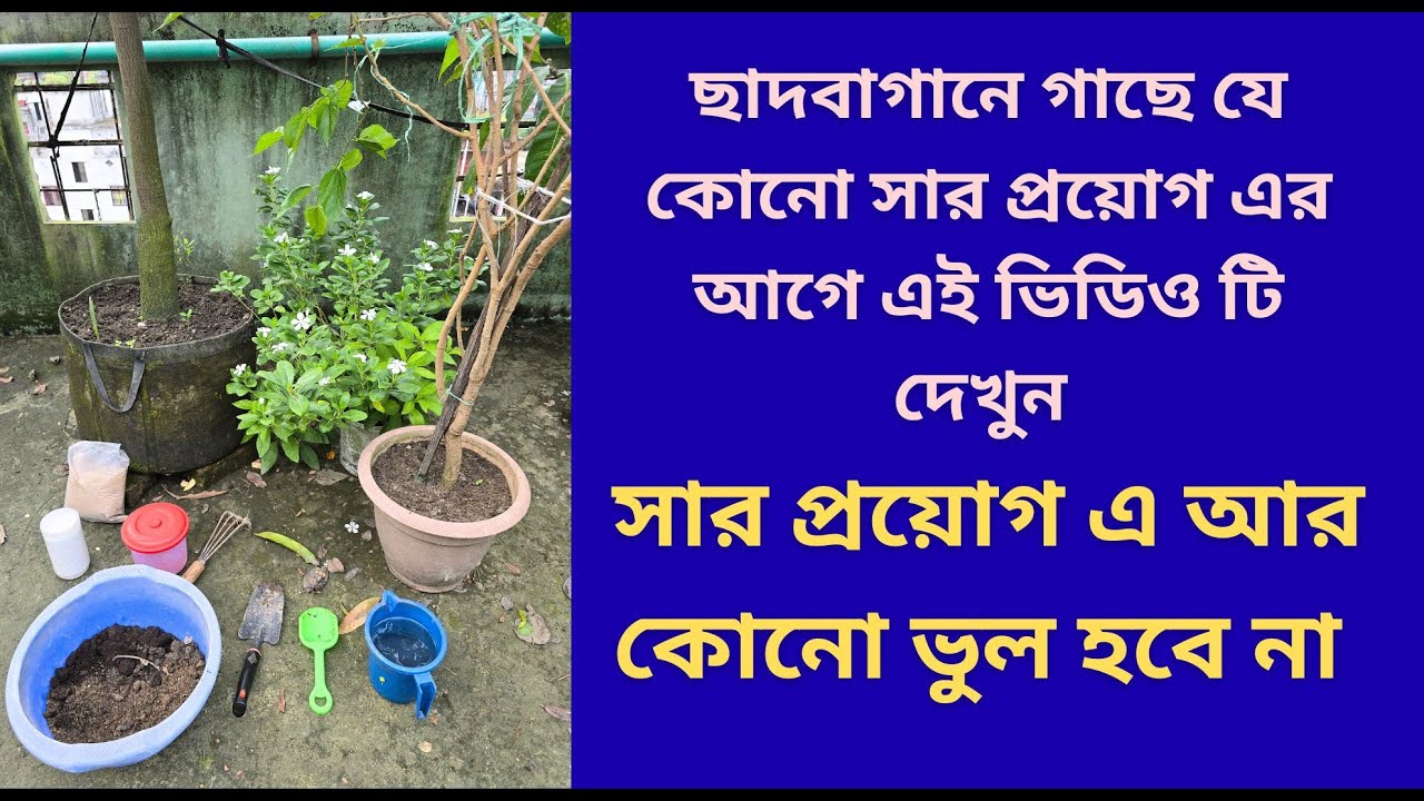 ছাদবাগানের সব গাছে সার প্রয়োগের সঠিক পদ্ধতি | জৈব, রাসায়নিক, ফোলিয়ার সার | Rooftop Garden Fertilzer