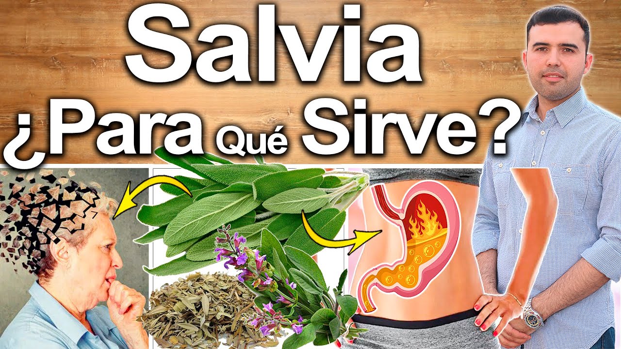 Salvia &iquest;Para Qu&eacute; Sirve? - Beneficios De La Salvia Para Tu Salud Y Belleza