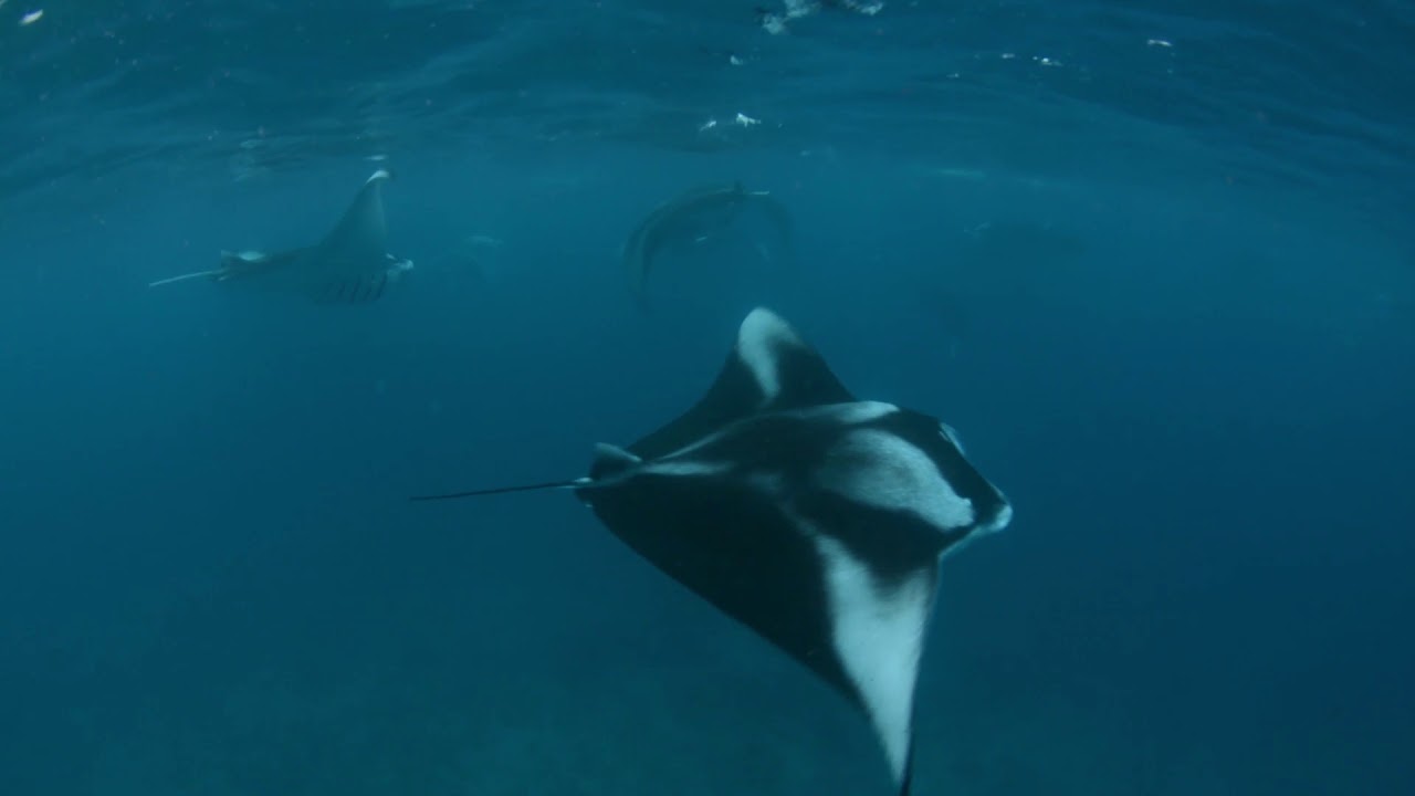 InterContinental Maldives - Raa Atoll