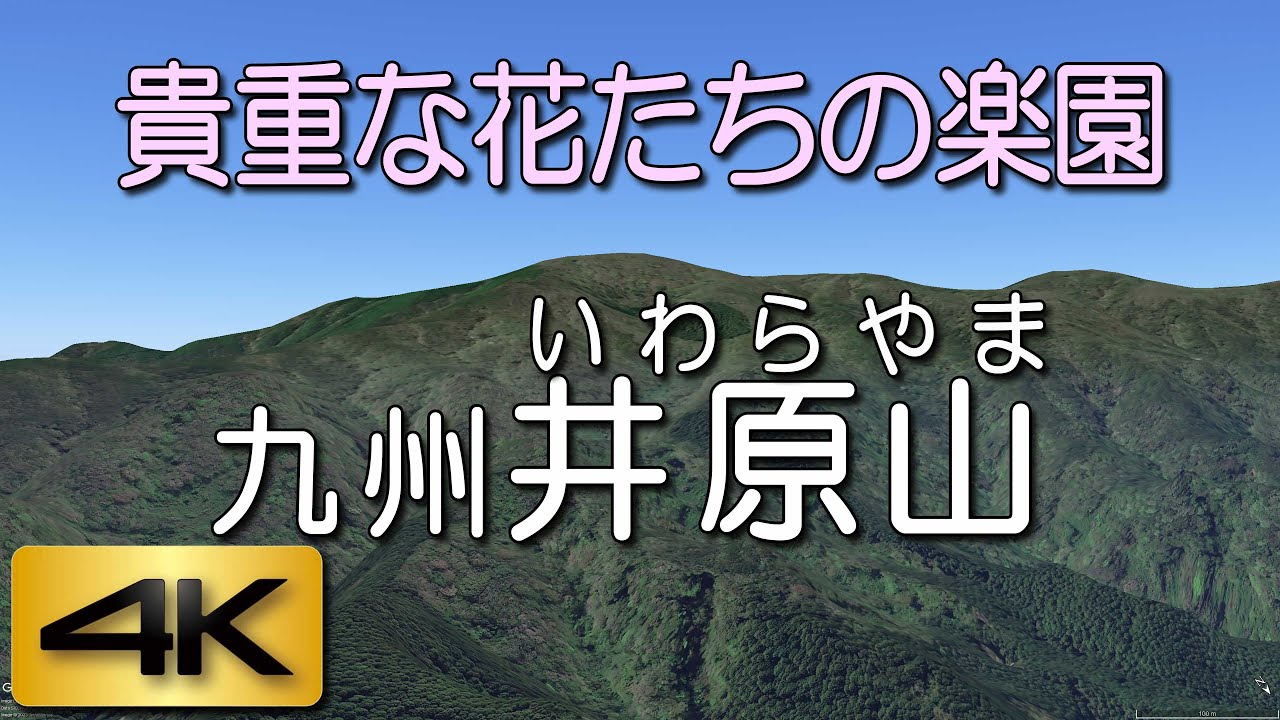 貴重な花たちの楽園。九州、井原山。