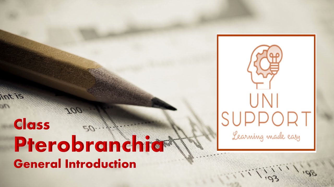 Pterobranchia - General Characteristics