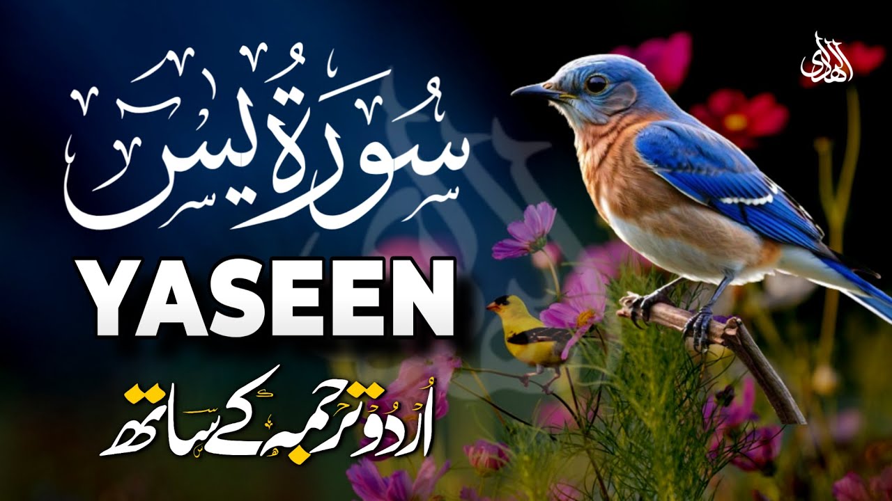 Surah Yaseen Urdu Tarjuma ke Sath | Peaceful Recitation | Episode - 655