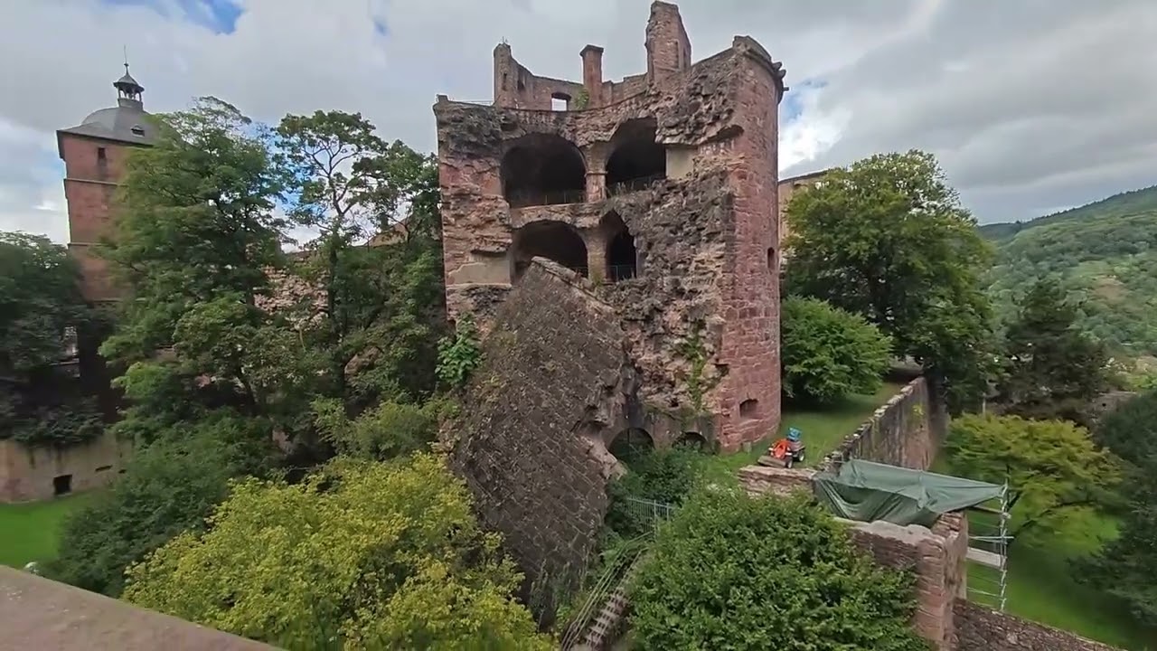 Le château de Heidelberg