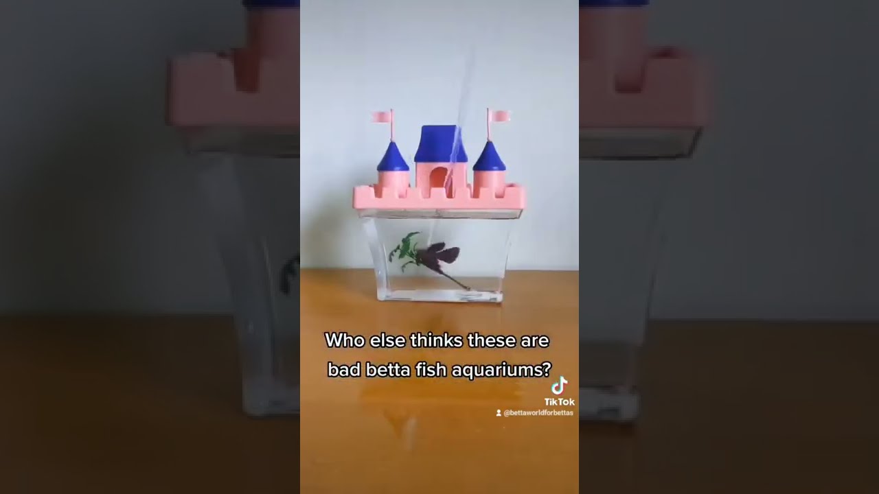 These under 1 gal aquariums are marketed specifically for bettas (they need 5+gal, filter & heater)