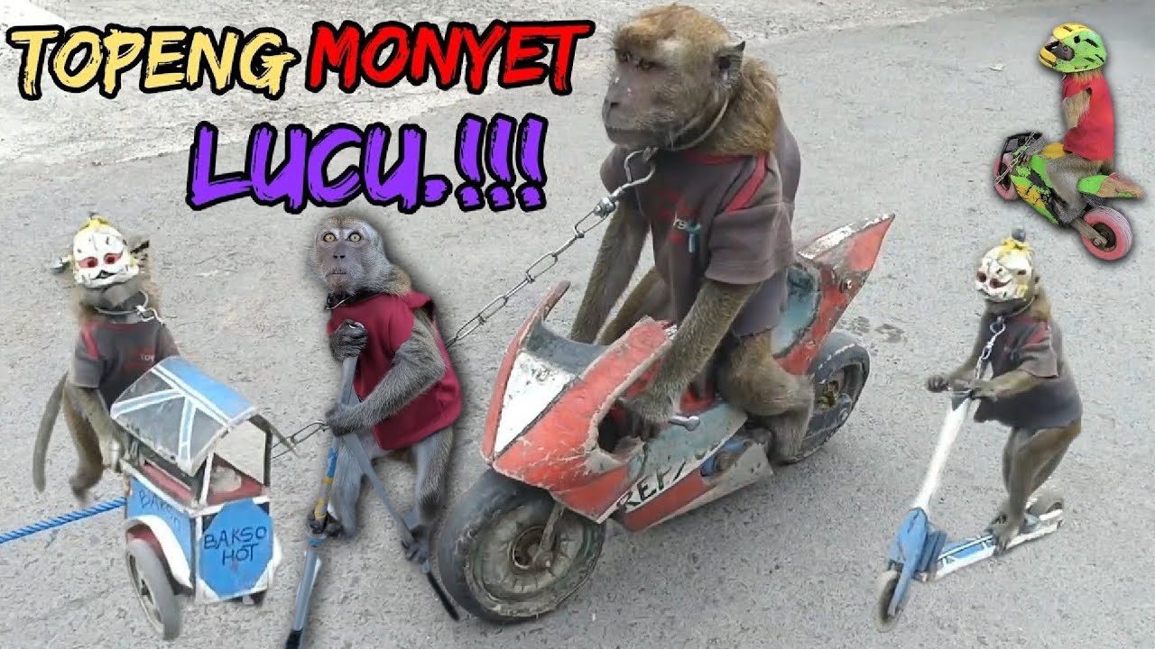 TOPENG MONYET LUCU DAN KEREN 3
