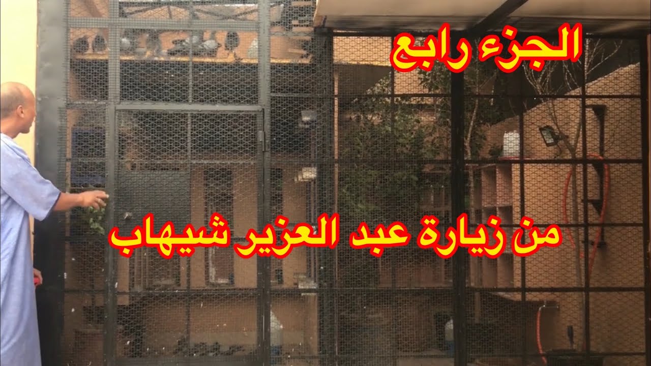 قناة Asmito في ظيافة عبد العزيز شهاب 