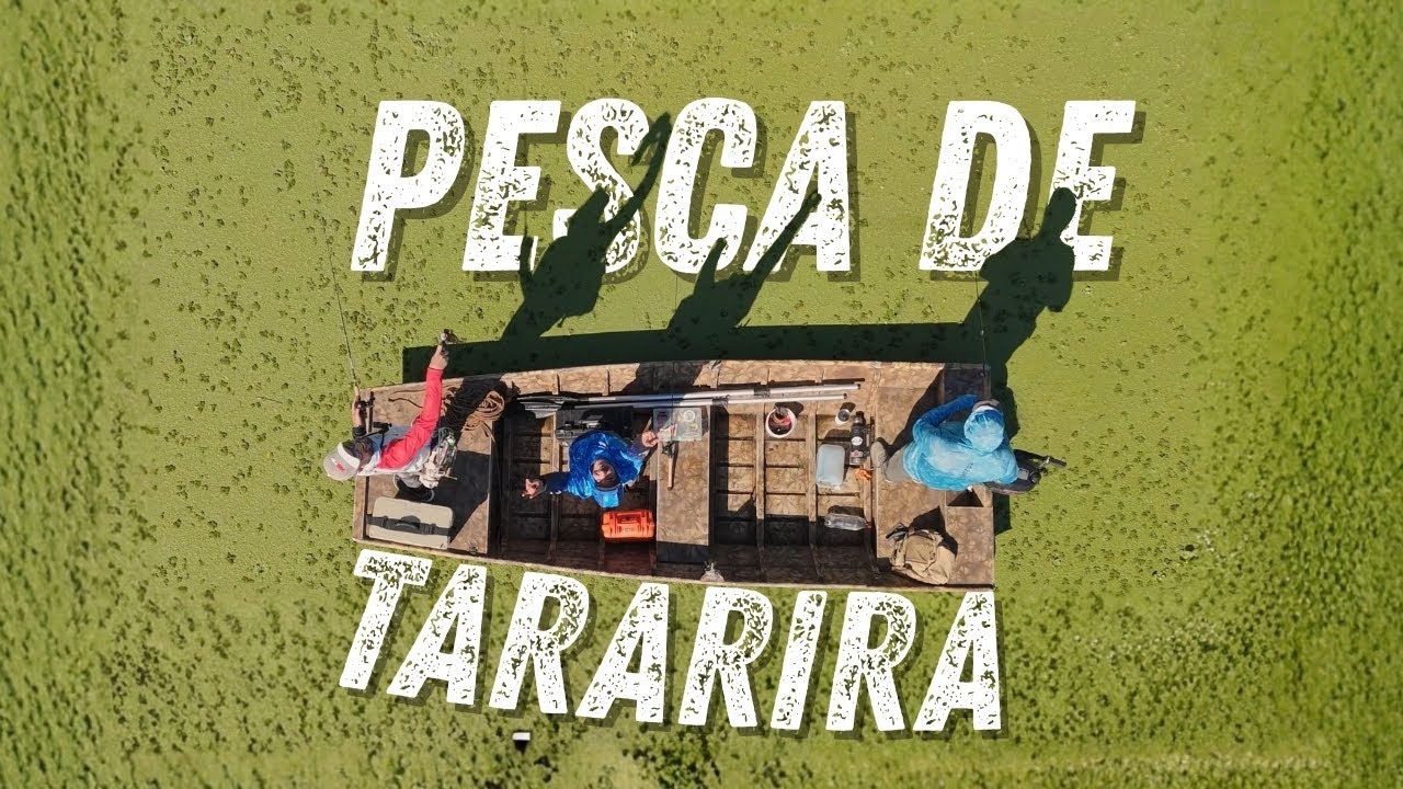 UN PANTANO DE TARARIRAS | El mejor lugar de Argentina 🇦🇷