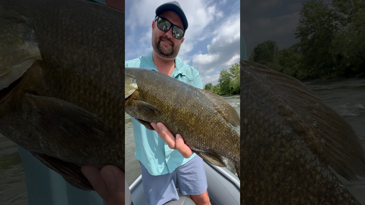 20&rdquo; Small Mouth Bass on the French Broad River in Asheville North Carolina.