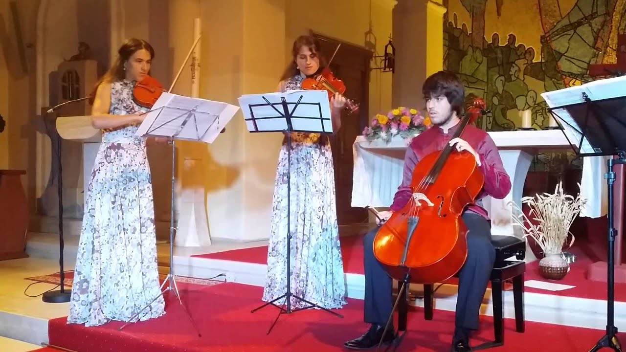 VELJAK STRING QUARTET   J  Haydn Cello Concerto in C 1st mov HD