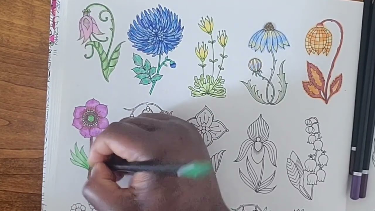 4th day of Christmas Flower Colouring 🌼 Black Widow Scarpion colouring pencils ✏️ World of Flowers 